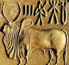 印度河印章 印度河印章