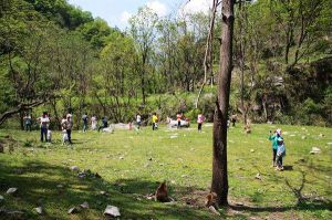 王家河鄉 王家河鄉