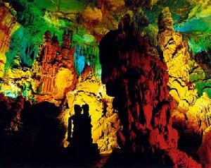 舜皇山國家森林公園