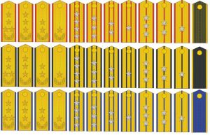 1988年軍銜制使用的三軍軍銜（圖中少將軍銜有誤，五星應置於肩章中間）