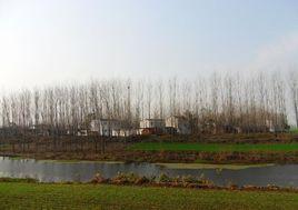 堤上村[山東萊西市日莊鎮下轄村]