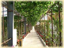 南國風情生態園