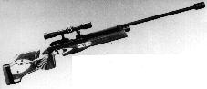 奧地利施泰爾4.5mm移動靶比賽氣步槍