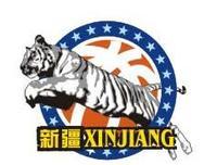 新疆廣匯隊標誌