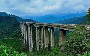 臘八斤溝特大橋採用了