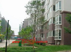 長安區[西安市]