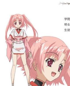 米塞爾朵莉多 米塞爾朵莉多