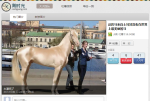 測時光網站截圖