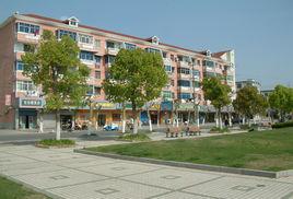 東平鎮[上海市崇明區下轄鎮]