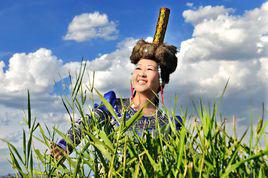 浪漫草原[尕爾迪翻唱的歌曲]