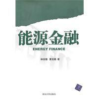 能源金融 能源金融