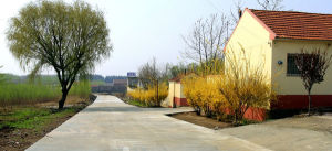 石棚子村 石棚子村