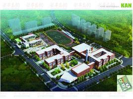 青島滄口學校 青島滄口學校