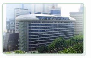 魯能置業集團 魯能置業集團