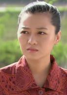 大村官[2014年劉流、周英傑執導電視劇]