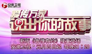 愛傳萬家[安徽衛視節目]