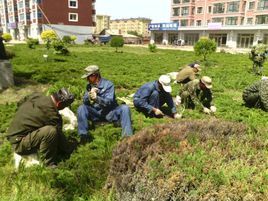 二九0農場 二九0農場