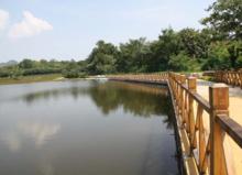 武漢木蘭玫瑰花園