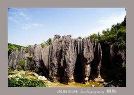 洛塔石林 洛塔石林