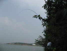 洈水水庫 洈水水庫