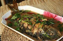 家常燉鯉魚 家常燉鯉魚