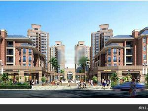 藏龍星天地 藏龍星天地