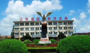 新洋農場 新洋農場