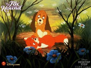 《狐狸與獵狗1》