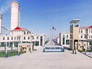 山東金正大公司