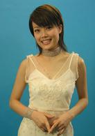 功夫足球[電視劇]