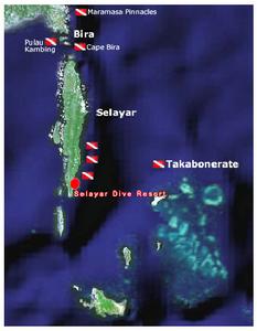 塞拉亞島 塞拉亞島