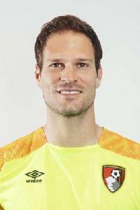 貝格維奇 貝格維奇