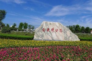 白天鵝公園 白天鵝公園