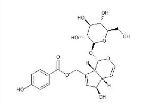穗花牡荊苷 穗花牡荊苷