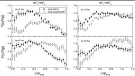 橫向動量 橫向動量