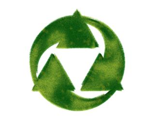 綠色守護 綠色守護