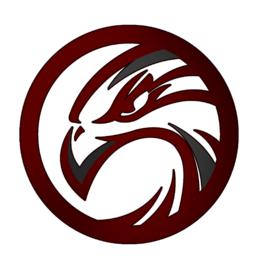 上海夜鷹美式橄欖球隊 上海夜鷹美式橄欖球隊