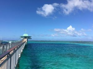 魚眼海洋公園 魚眼海洋公園