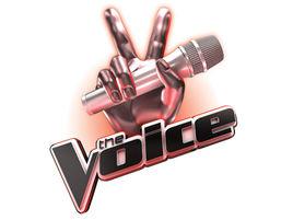 The Voice[選秀節目]