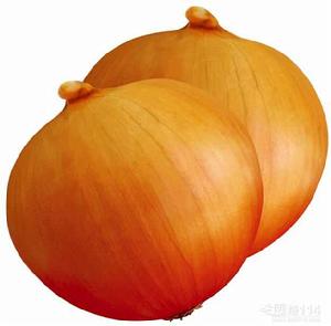 黃皮洋蔥 黃皮洋蔥