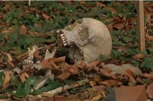 屍體農場 屍體農場