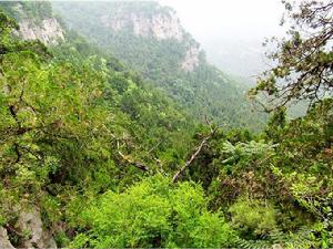 五峰山景區[山東省長清區五峰山景區]