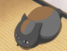 夏目友人帳  狸追招財貓形象