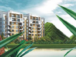 金匯嘉園 金匯嘉園