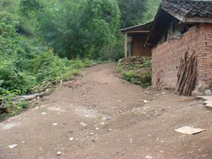 張得厚田自然村 張得厚田自然村