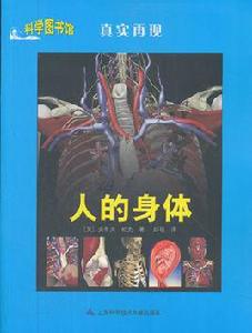 人的身體