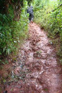 瓦能自然村 瓦能自然村