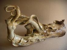 非&middot;舞系列