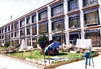 （圖）雪居民新村