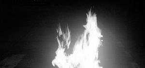 2008年6月5日 2008年6月5日